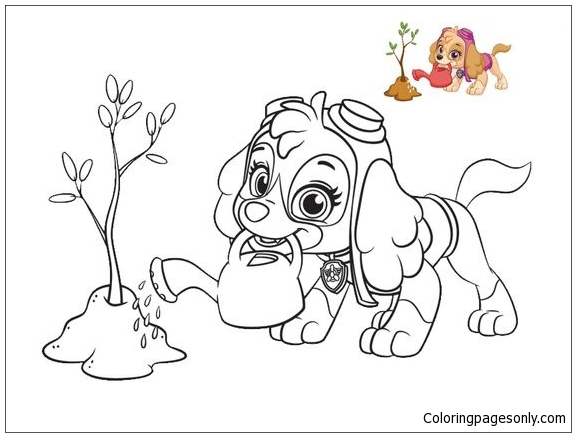 Skye From Paw Patrol 2 Coloring Page Free Coloring Pages