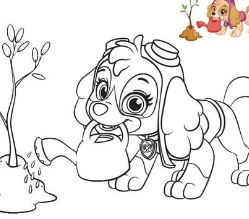 Skye From Paw Patrol Coloring Page