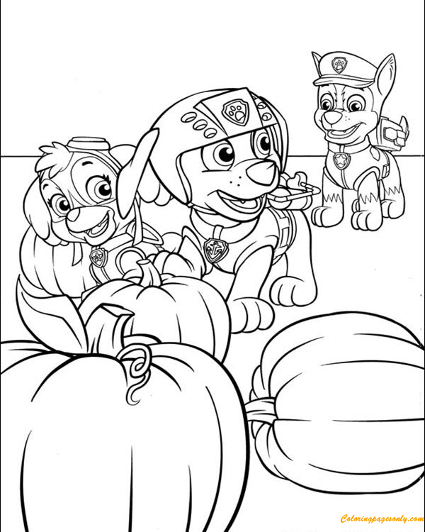 Skye, Zuma And Chase From Paw Patrol Coloring Pages ...