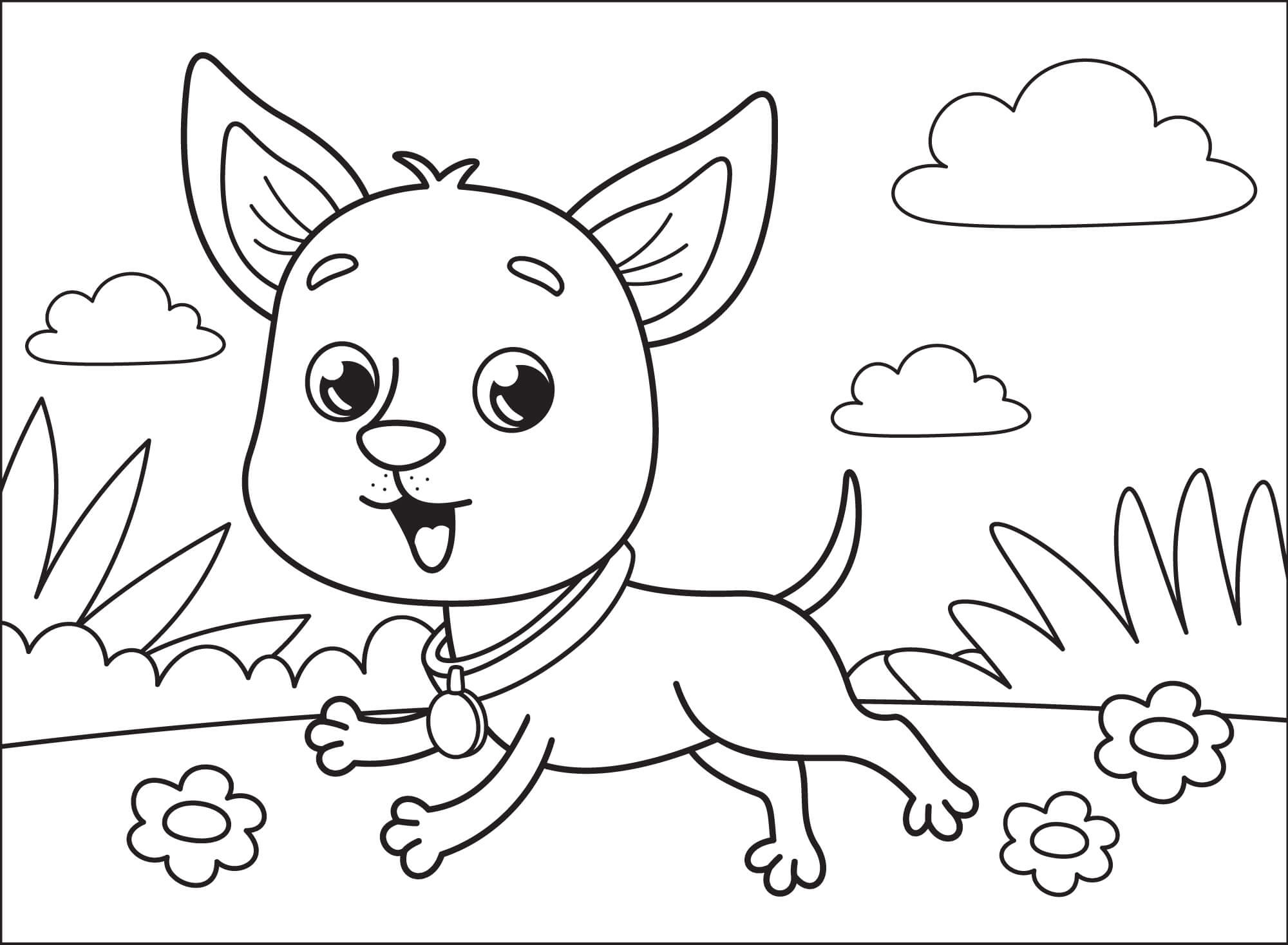 Small Chihuahua Coloring Pages