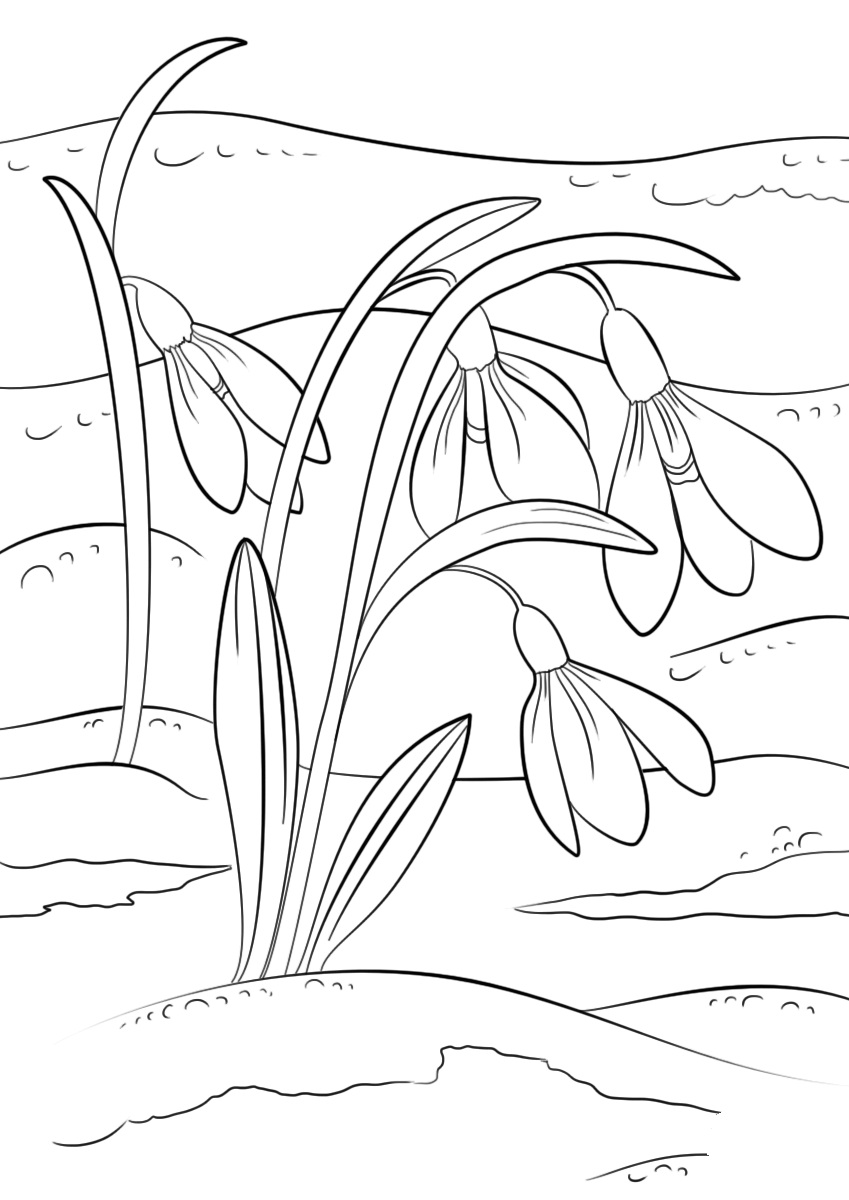 Snowdrop Flowers Coloring Page