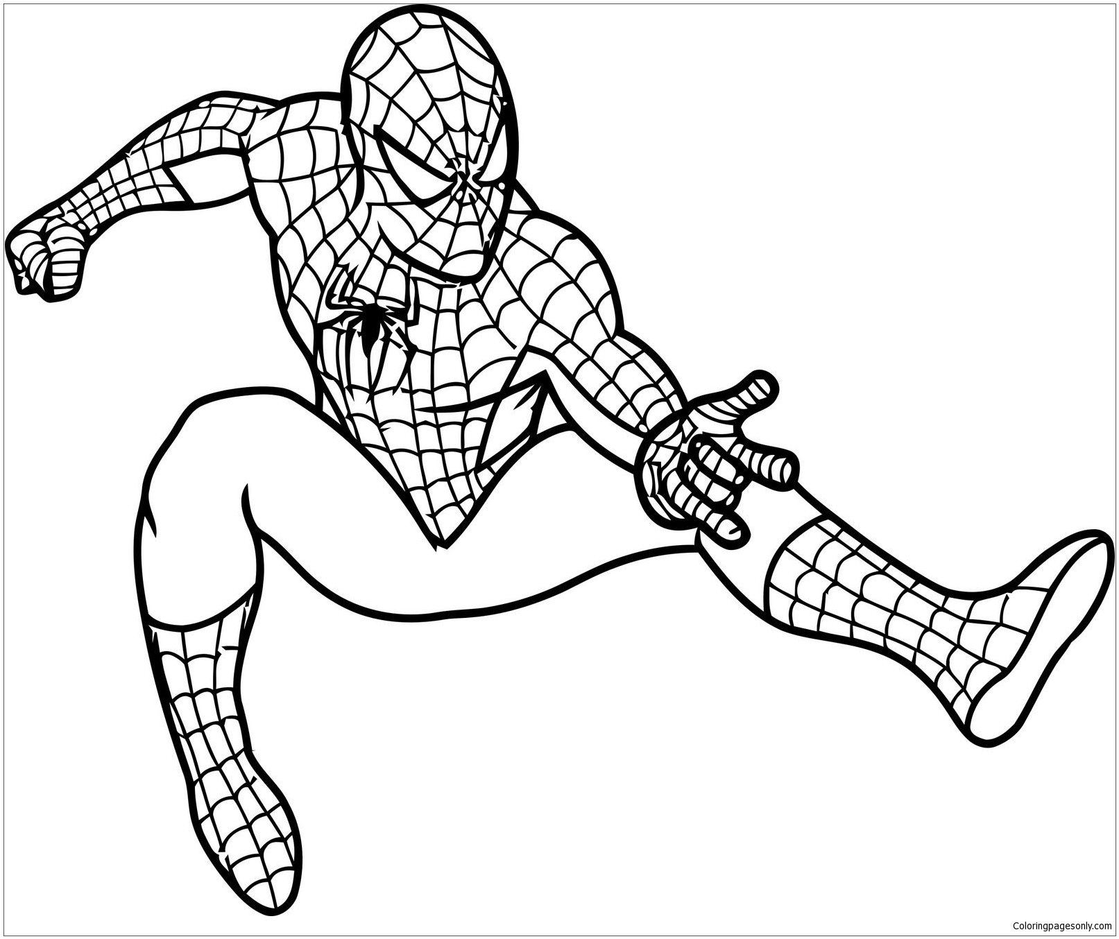 500 Collections Spiderman Web Coloring Pages  Best HD