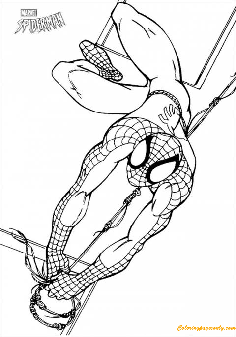 Download 43+ Spiderman Jumping Posture Coloring Pages PNG PDF File