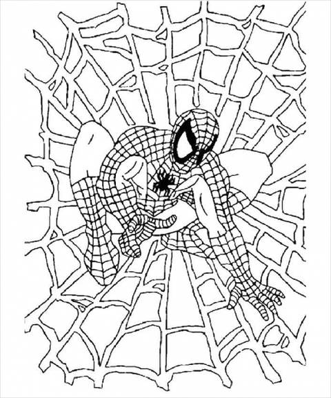 Spiderman Web Coloring Page