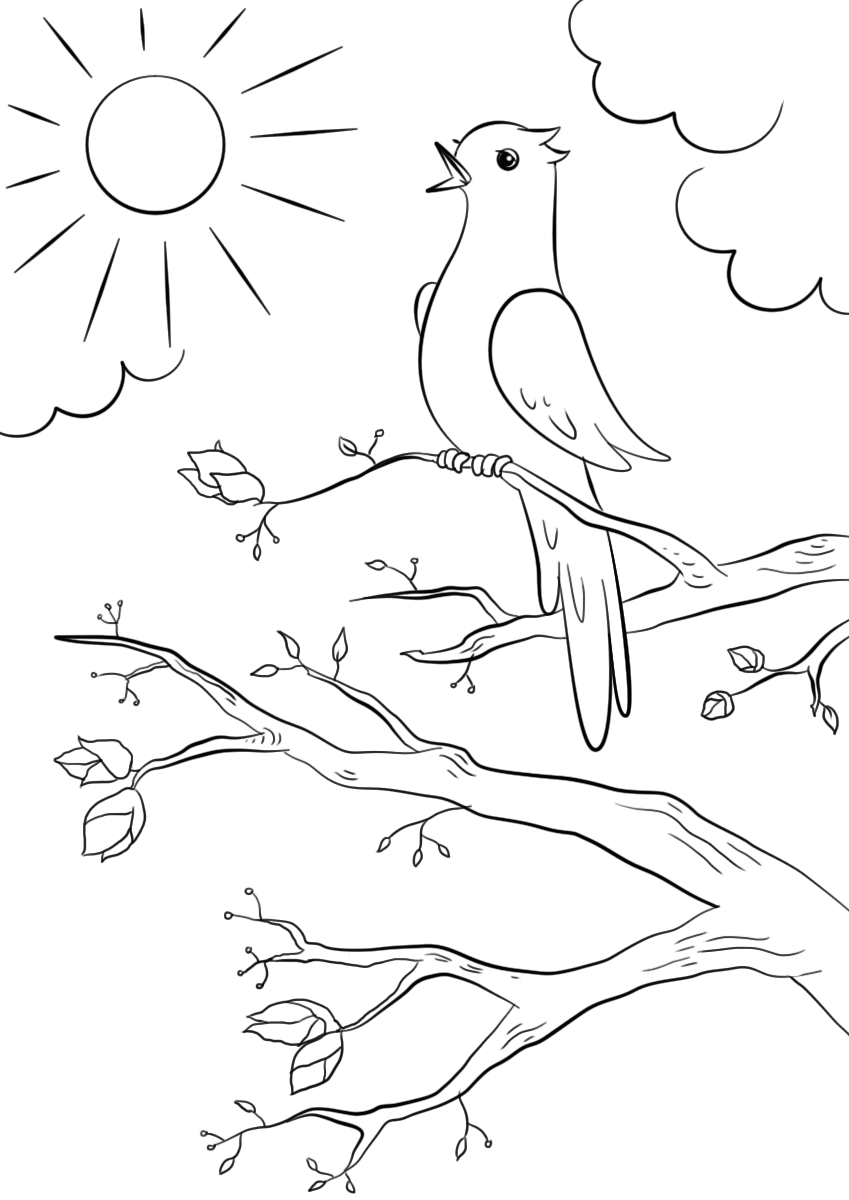 Spring Bird Coloring Pages