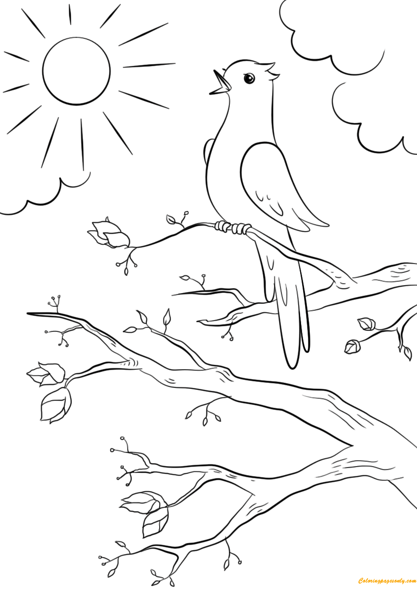 Spring Bird Coloring Pages - Nature & Seasons Coloring ...