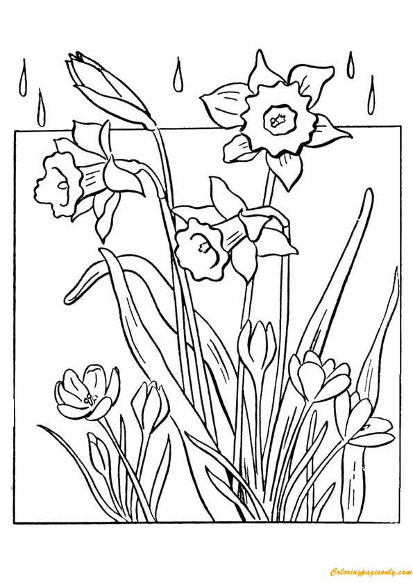 Spring Flowers Coloring Pages - Nature & Seasons Coloring Pages