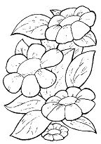 Spring Time is for Flowers Coloring Pages