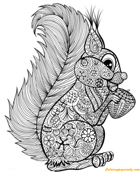 Squirrel Eating Nut Coloring Pages