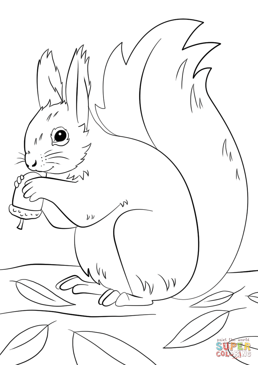 Squirrel Preparing for Winter Coloring Page