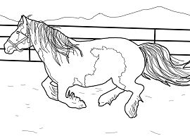 Stallion Horse Coloring Page