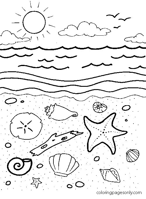 Estrela do mar, amêijoas e Seasnail na areia da praia