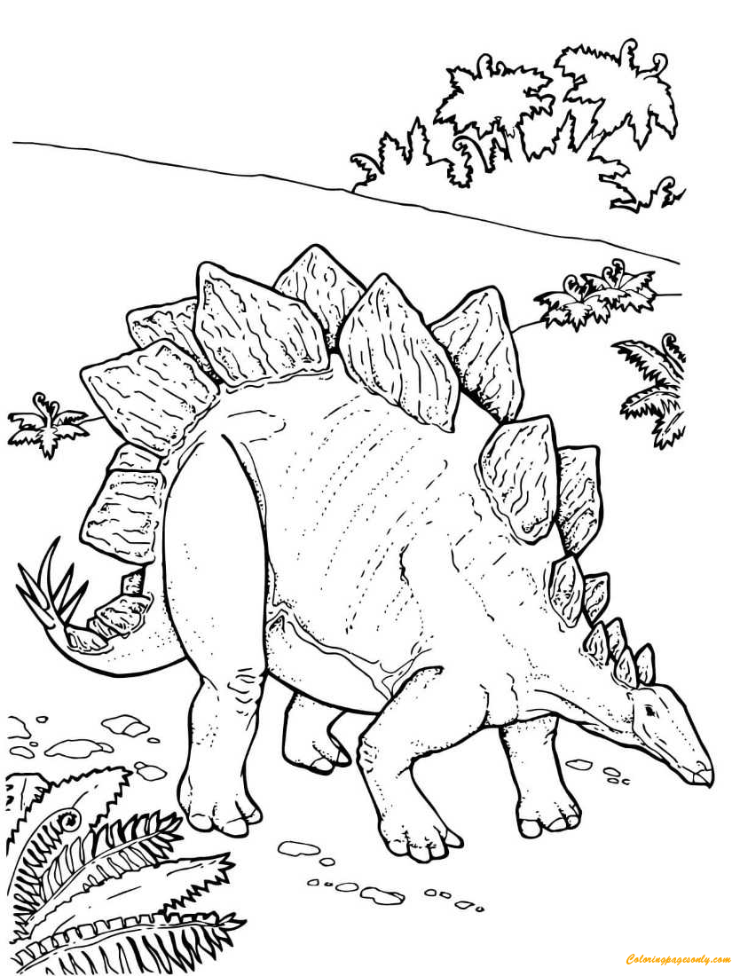 Stegosaurus Armored Dinosaur Coloring Pages - Dinosaurs Coloring Pages