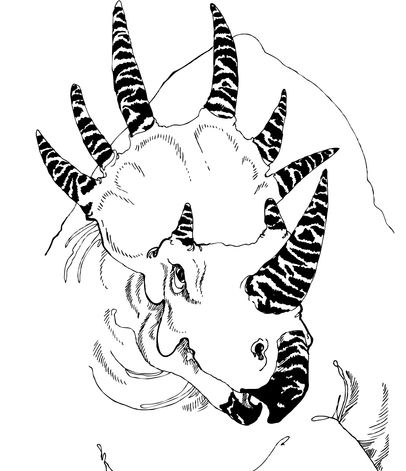 Styracosaurus Head Dinosaur Coloring Page