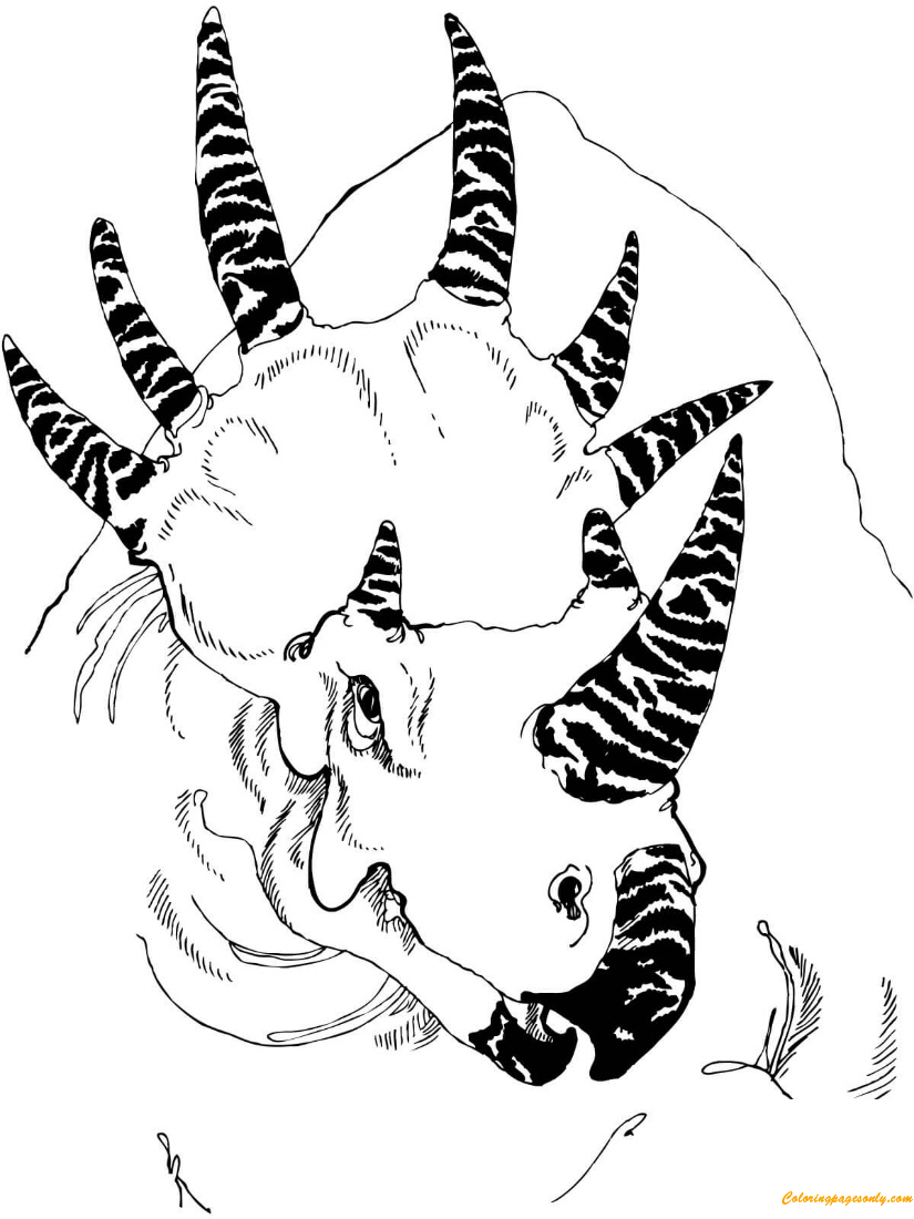 Styracosaurus Head Dinosaur Coloring Pages - Dinosaurs Coloring Pages