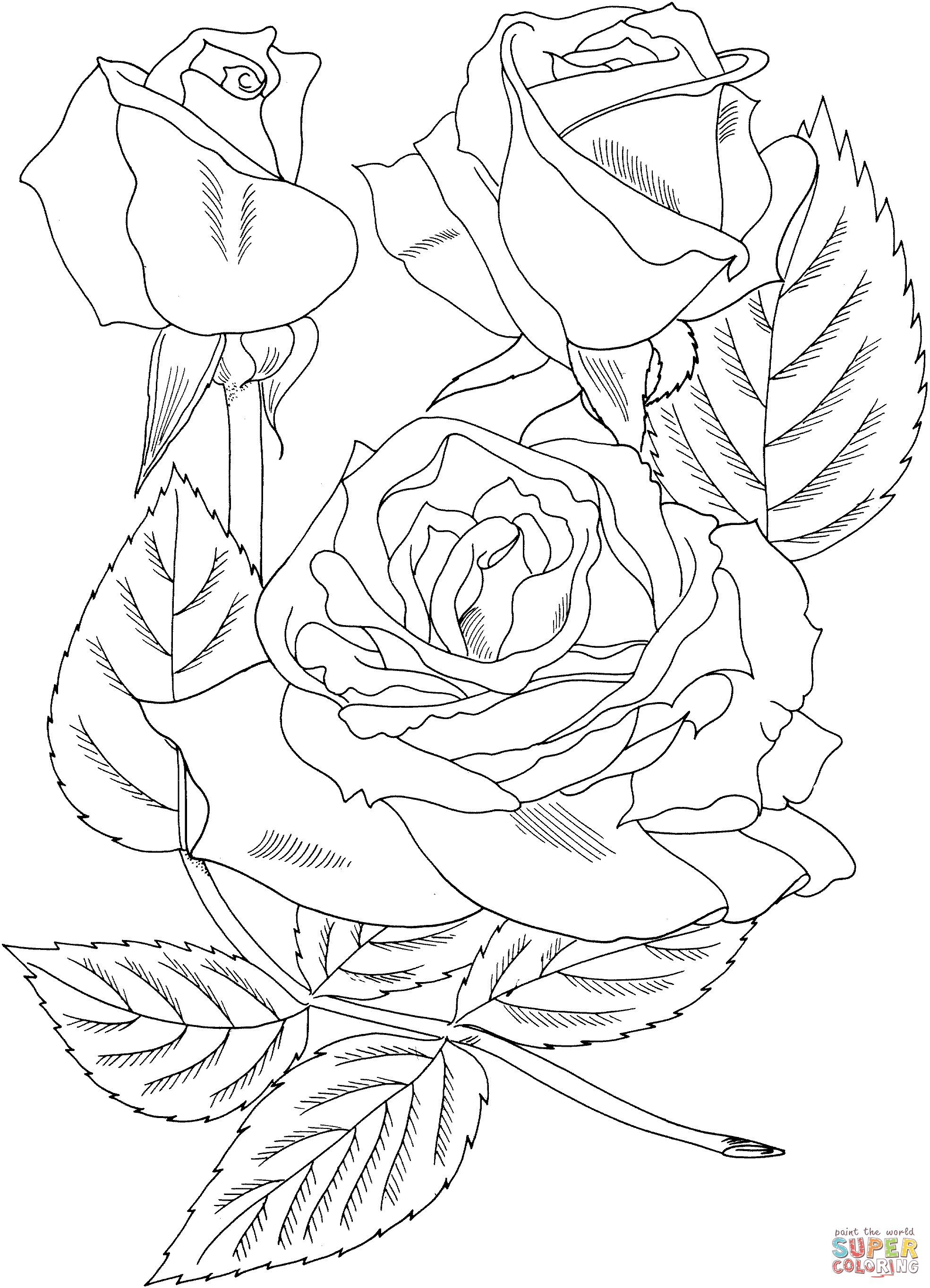Sundowner Rosa Grandiflora من الورود