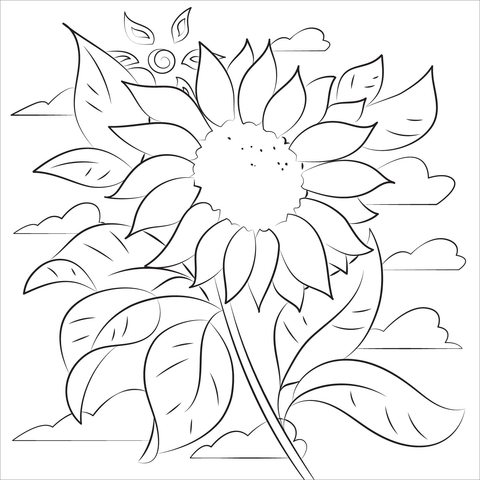 Sunflower Coloring Page