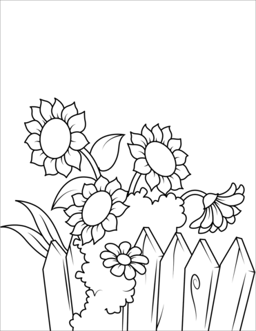 Sunflowers near the Fence Coloring Page