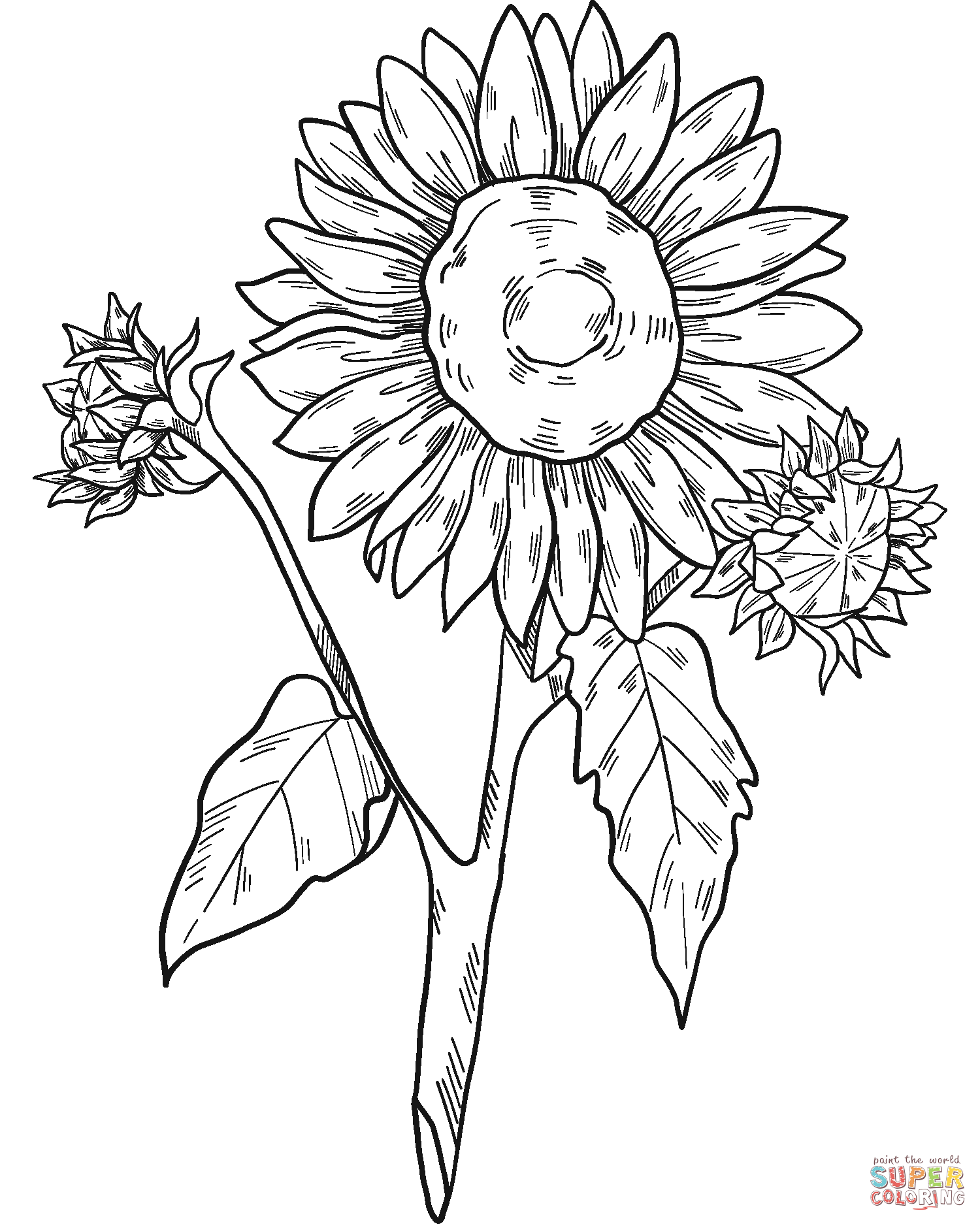 Sunflowers Coloring Pages