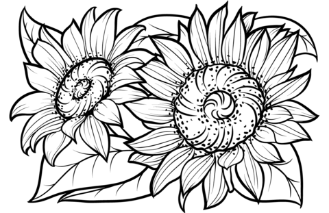 Sunflowers Coloring Pages