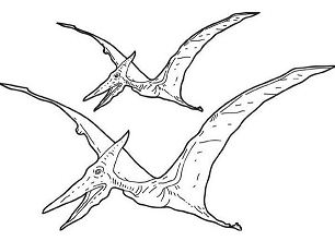 Tarbosaurus Pterosaur Coloring Page
