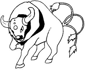Tauros Pokemon Coloring Pages