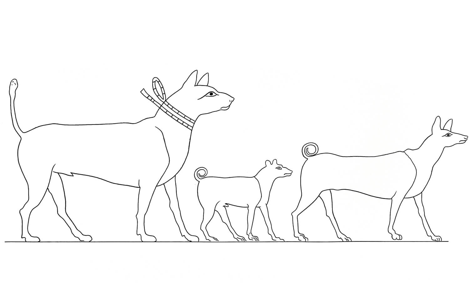 Equipes de Antigos Egípcios de Cães