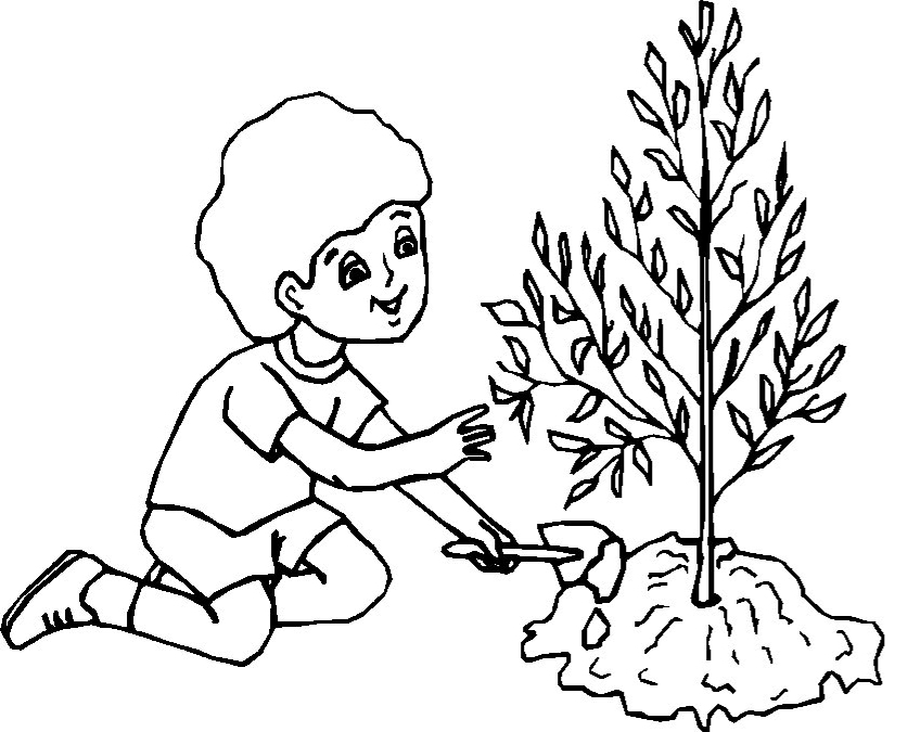 The Boy Is Planting A Tree Coloring Pages