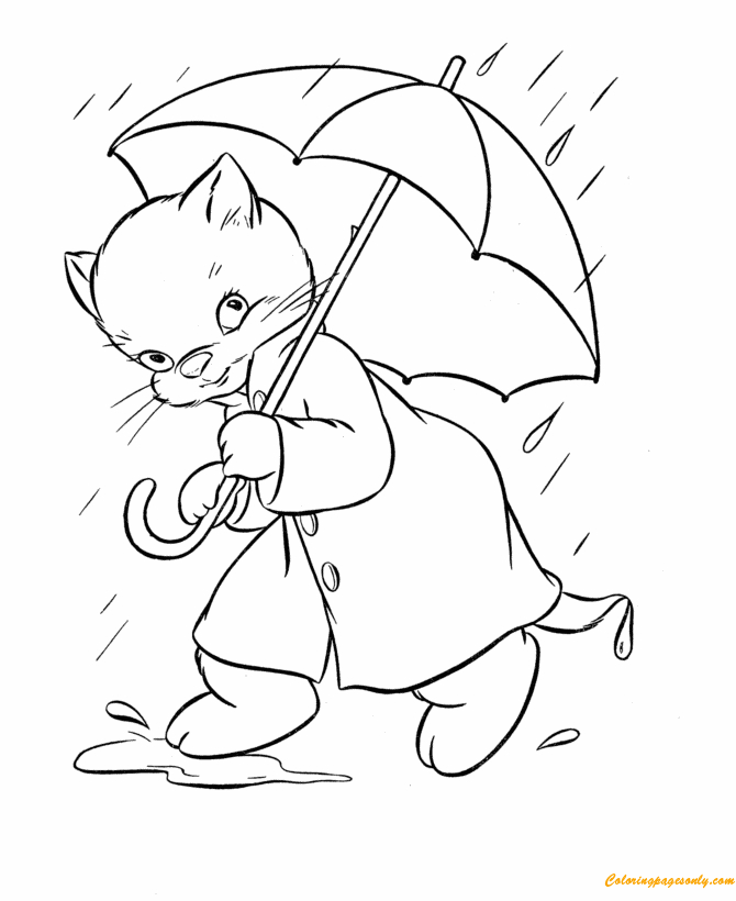 O Gato na Chuva de Engraçado