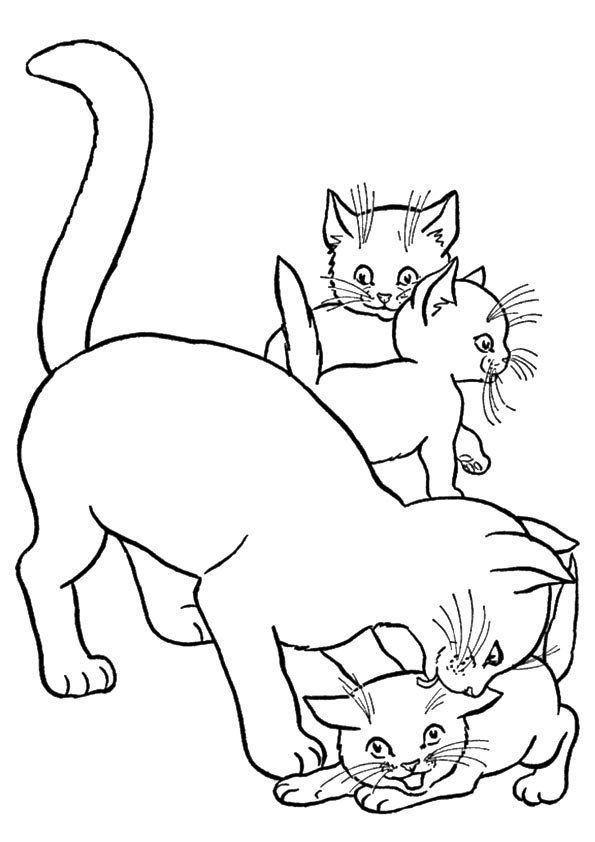 De kat met drie kittens van Cat