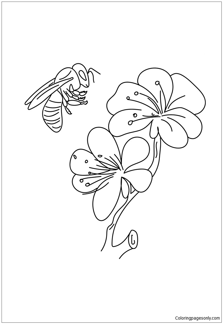 The Flowers And Bees Coloring Pages