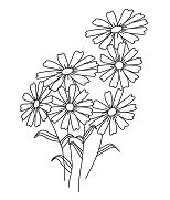 The Flowers Coloring Page