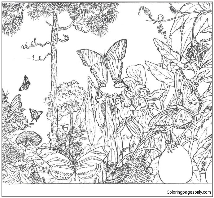 The Forest 1 Coloring Pages - Forest Coloring Pages - Coloring Pages
