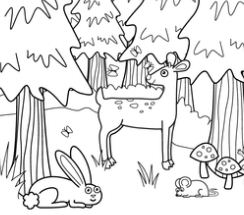 The Forest Coloring Page