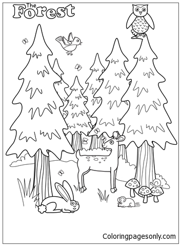 The Forest Coloring Pages