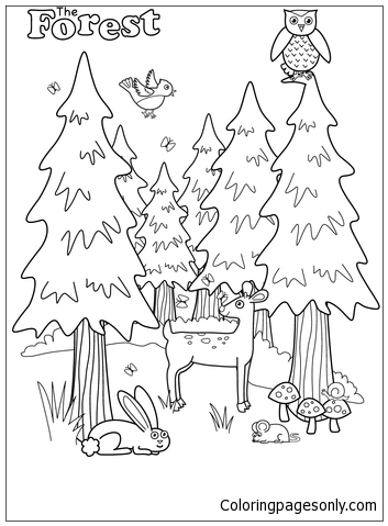 the forest coloring page  free coloring pages online