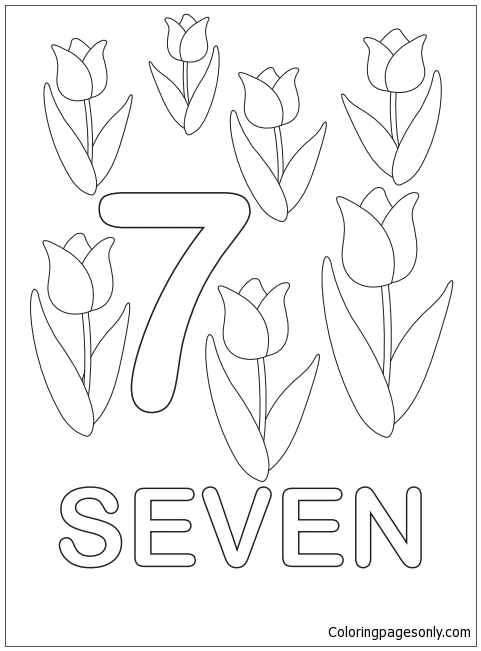Les sept fleurs des nombres
