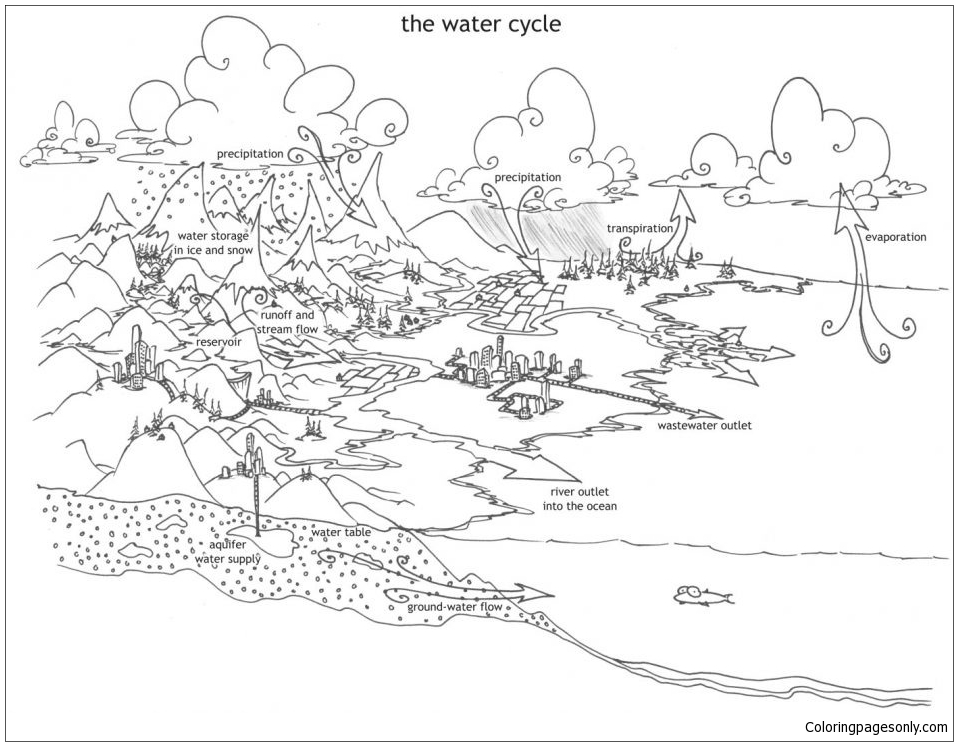 De watercyclus 1 uit neerslag