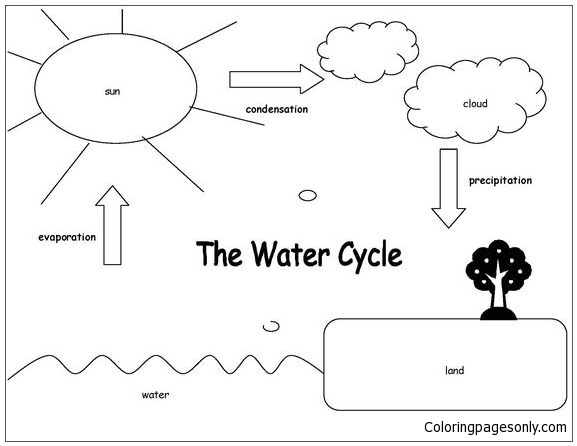 De watercyclus kleurplaat