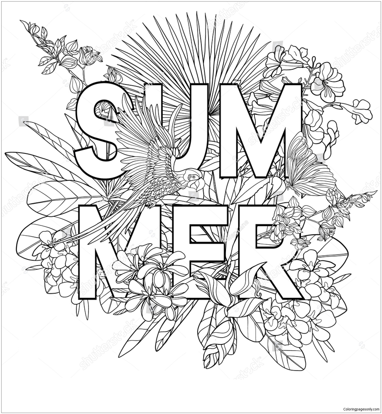 Das Wort Sommer vom Sommer