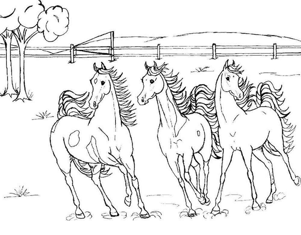 Three Barbie Horses Coloring Pages