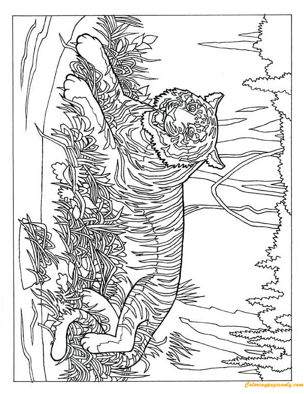 Tiger In The Forest Coloring Page