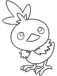 Torchic Pokemon Coloring Page