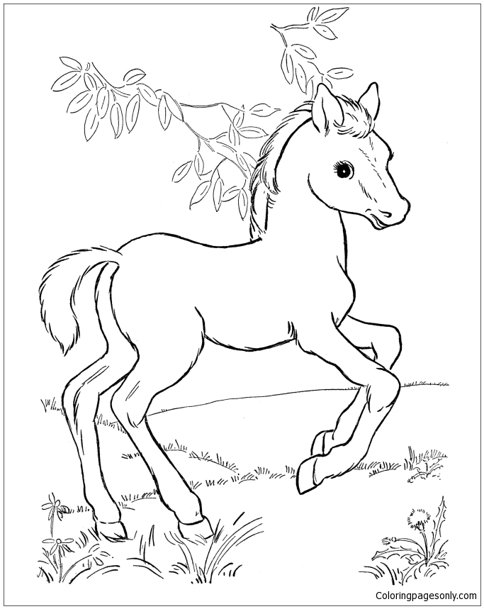 Trend Horse Coloring Pages