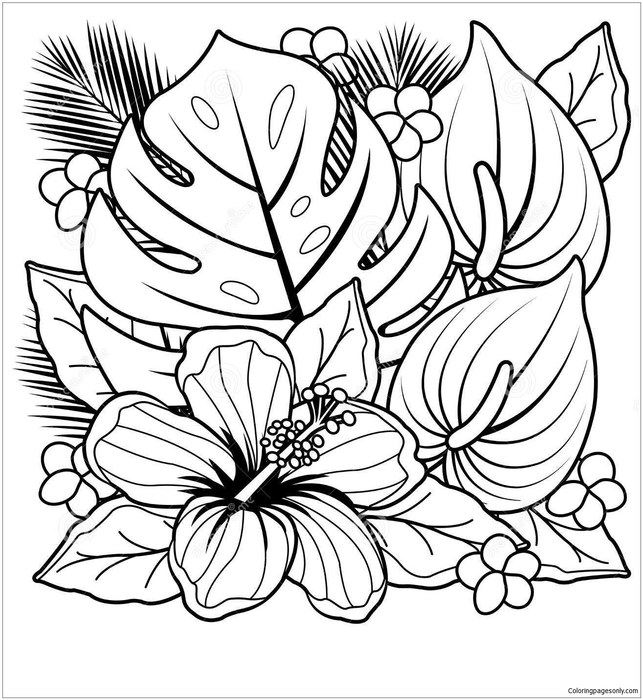 Coloriage plantes tropicales et fleurs d'hibiscus