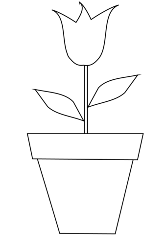 Tulip in a Pot Coloring Page