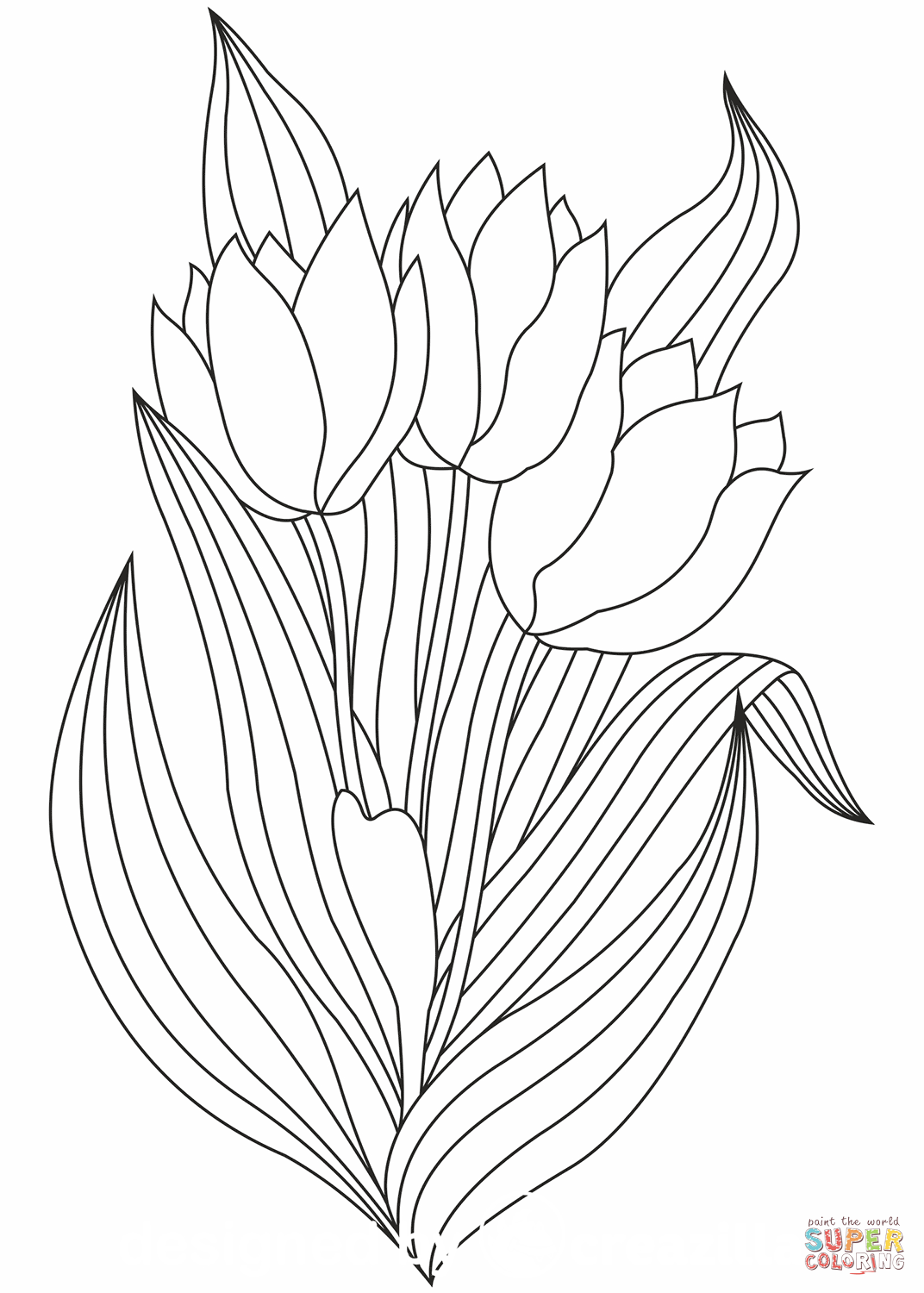 Tulipa de Tulipa