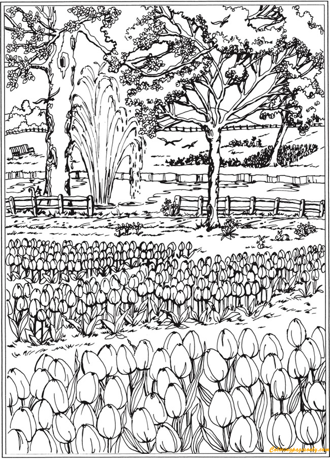 coloring pages of fields