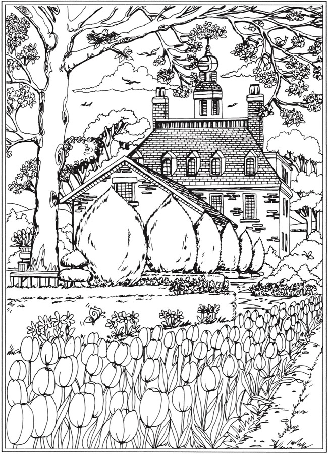 Tulips in Spring Coloring Pages