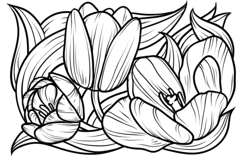 Tulips Coloring Page